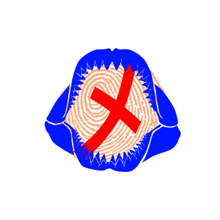 5tabacadabra's emblem