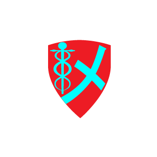 mizool85's emblem