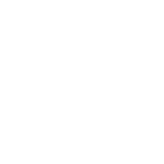 69IronMan's emblem