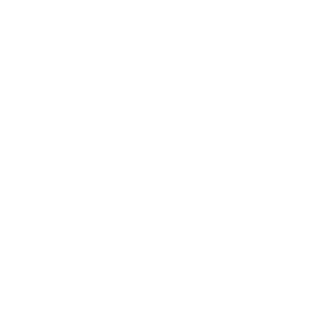 MarcoBorga's emblem