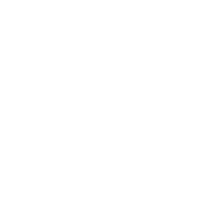 LarsOfTheMohican's emblem