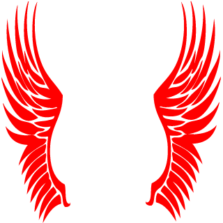 AxarayliTR's emblem