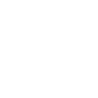 mindflach's emblem