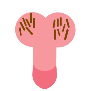 djundje-NDD's emblem