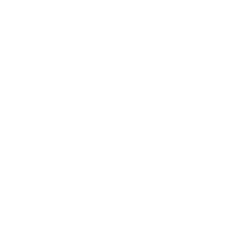BadHunter81's emblem