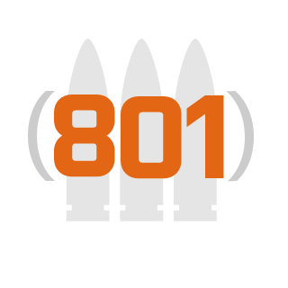 TwoEcho's emblem