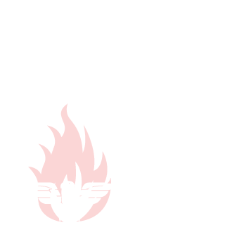 skvalle-dk's emblem