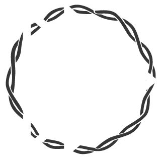 JR3IGNZ's emblem