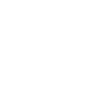 B3rgiz's emblem
