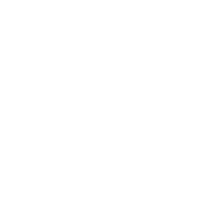 AnarchyTect8112's emblem