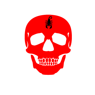 ShaamanBRA's emblem