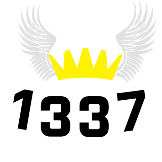 17_Steelray_17's emblem