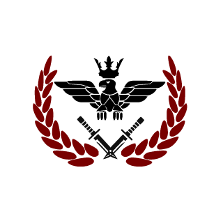 SrPollo20's emblem