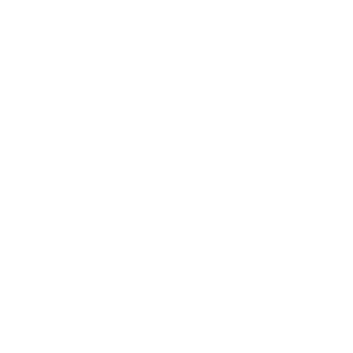N640509040147's emblem
