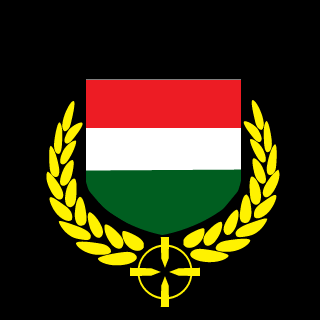 SniperGergi's emblem