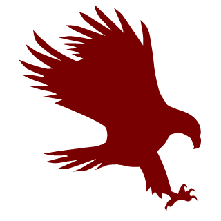 cooljoe718's emblem