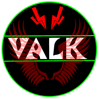 Valkyria Gaming's emblem
