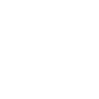 d318583543484d9d's emblem