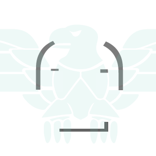 BrandonSi's emblem
