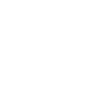SuperMarioFelix's emblem