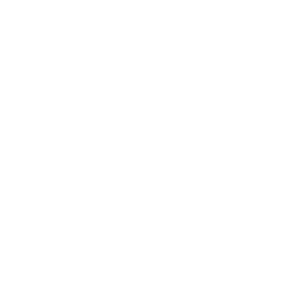 DksFly's emblem