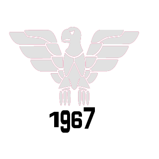 hugo4905's emblem