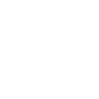 IIMeTaII's emblem