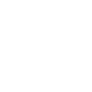 Hug0Stig1itz's emblem