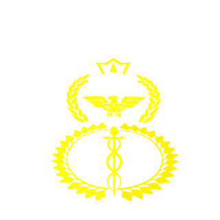 SvyatoyOtetc1975's emblem