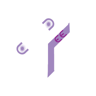 UNSC_Headquarter's emblem