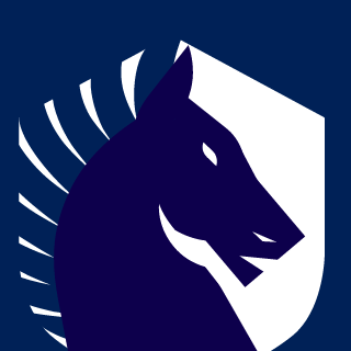 8anno's emblem