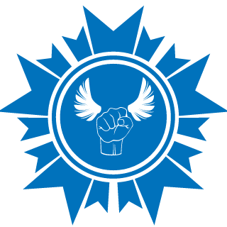 Sky4funzees's emblem