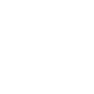 FirstShadowZ1's emblem