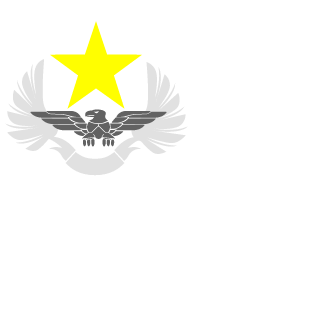 Tranin1's emblem