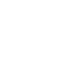 86485302d1f08298's emblem