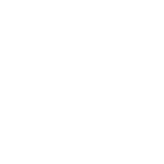 0800-Akira-'s emblem