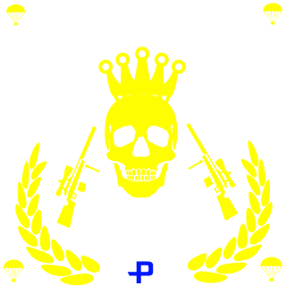 1St0rm1's emblem