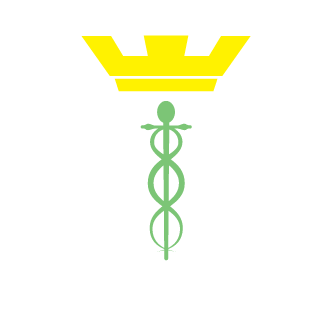 kings-419's emblem