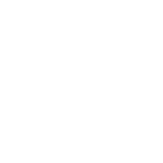 SA-Satanison's emblem