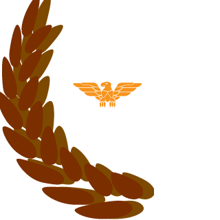 DrSeeds's emblem
