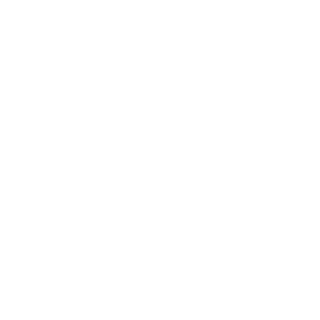 57ALK3R's emblem