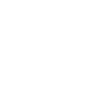 ChaRooN13's emblem