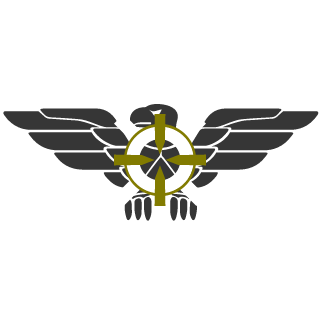 Nexray33's emblem