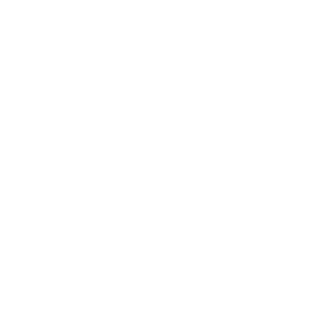 BT2-Bayraktar's emblem