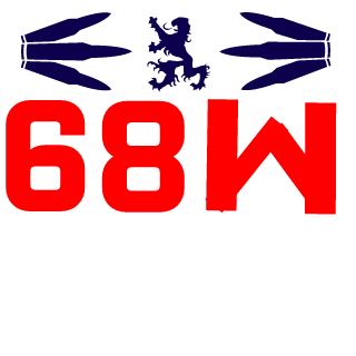 Sanel3ss's emblem
