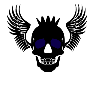 NynjaPro22's emblem