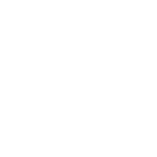 NoNevers's emblem