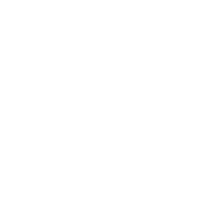 faultyshot's emblem