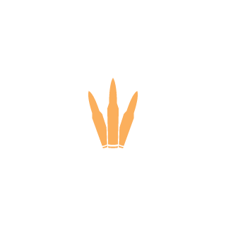 Thoma1961's emblem