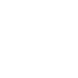 AraguaiaThunder's emblem